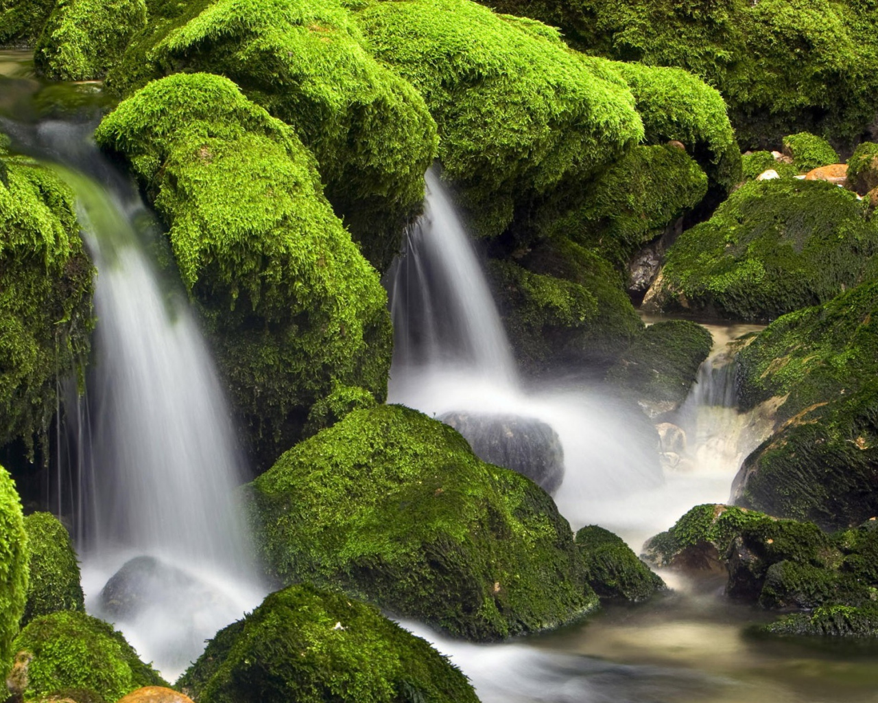 Вода стекает вниз среди поросших мхом камней