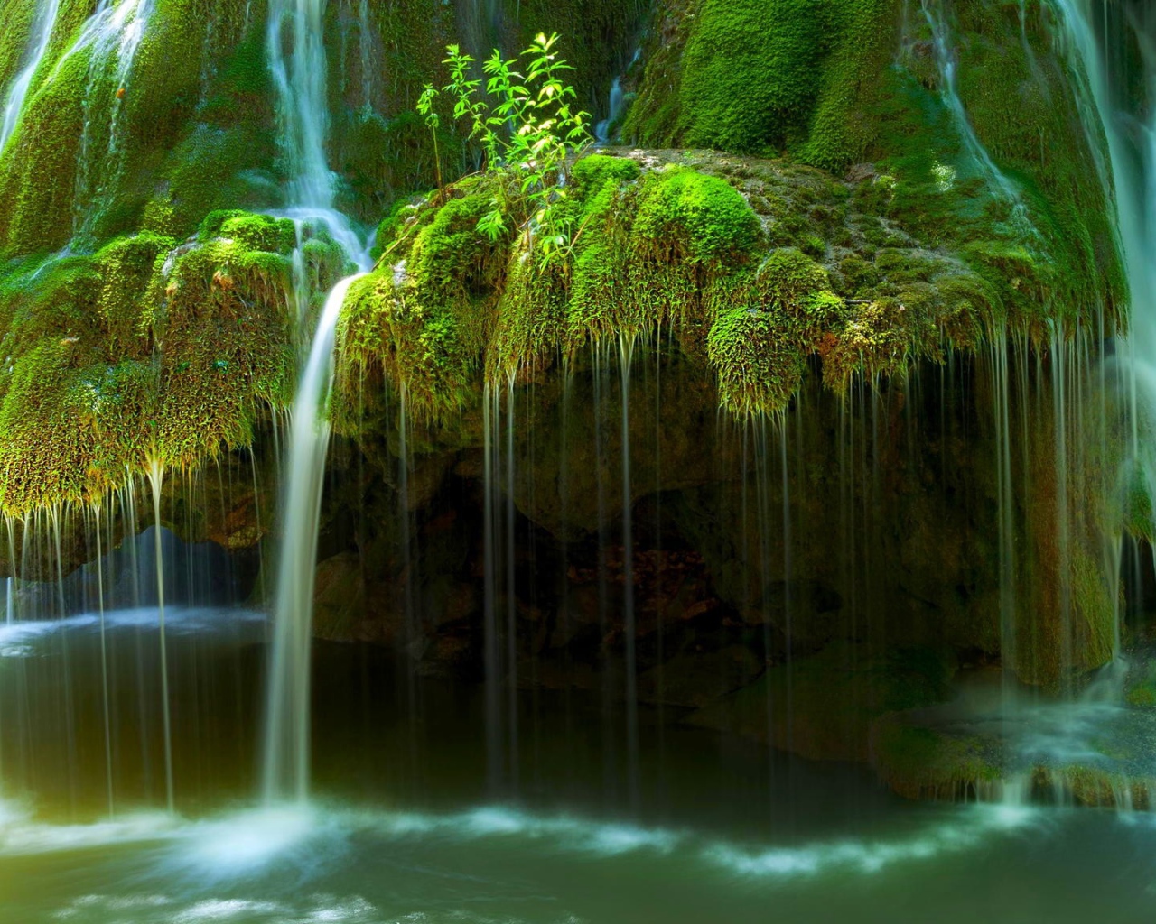 Вода стекает по покрытым мхом скалам