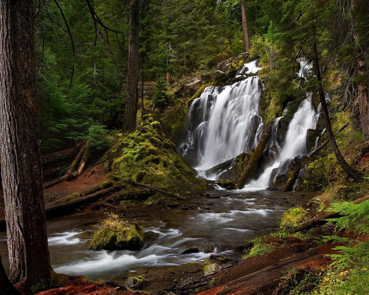 Водопад, скрытый в чаще леса
