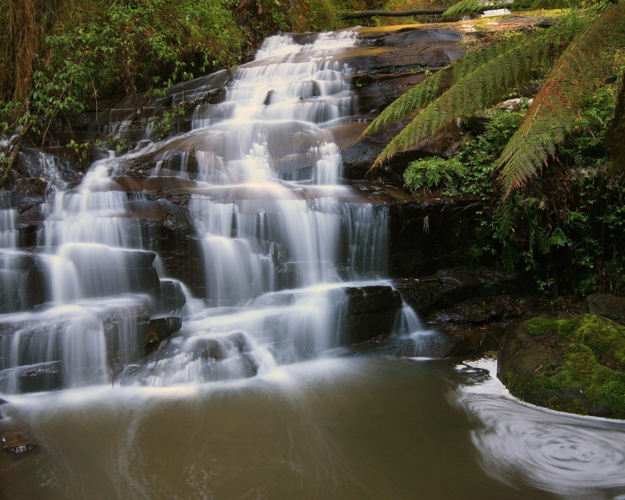 Водопад на черной скале в лесу