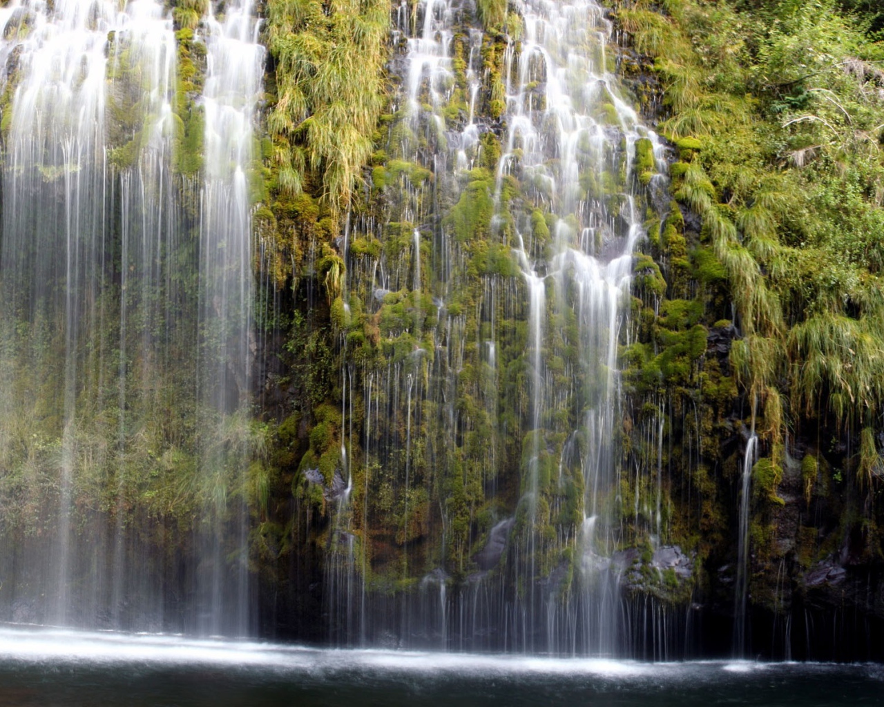 Водопад по зеленым зарослям