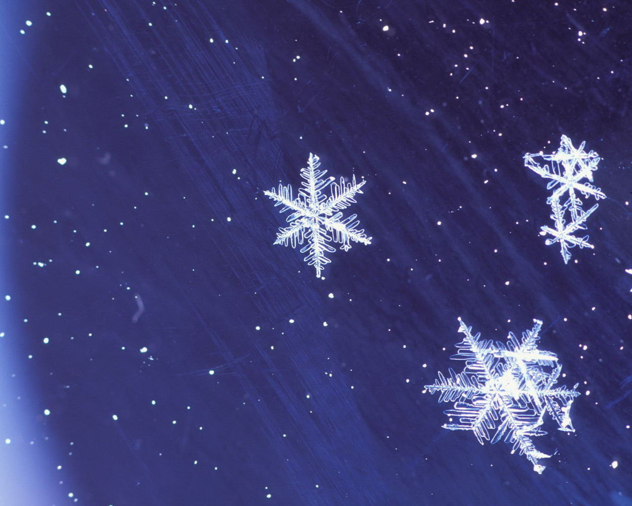 Снежинки на звездном небе