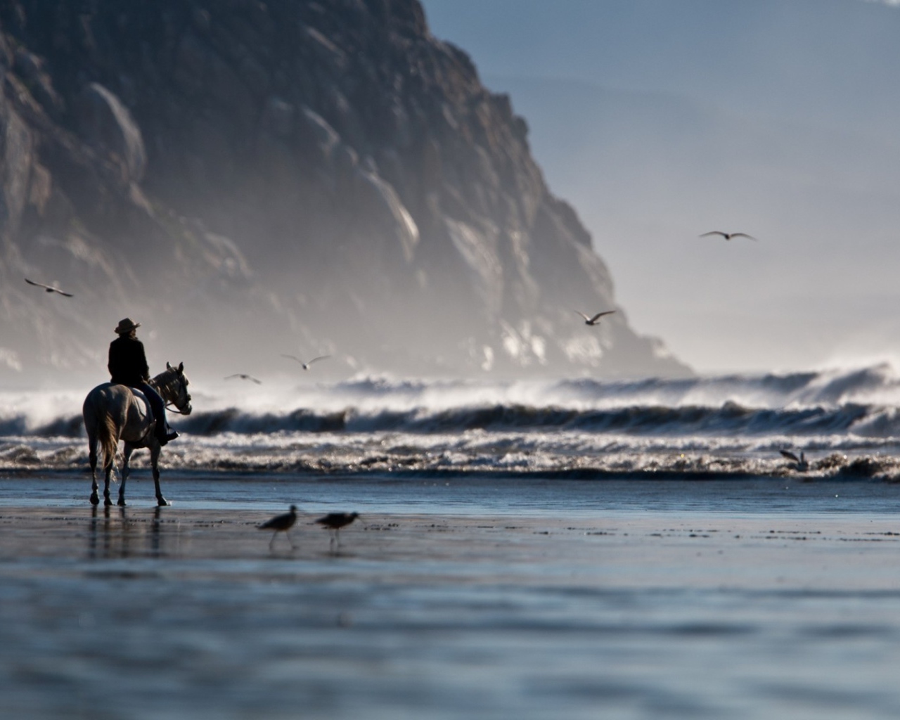 Одинокий всадник на берегу моря