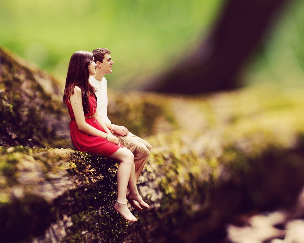 Маленькие люди на большом дереве