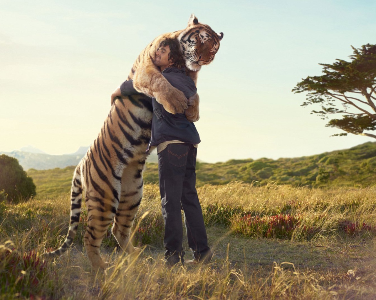 Человек обнимается с тигром