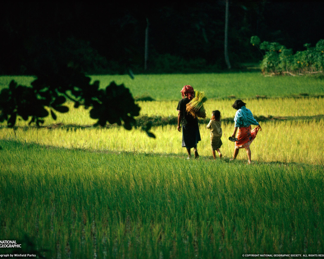 Семья аборигенов