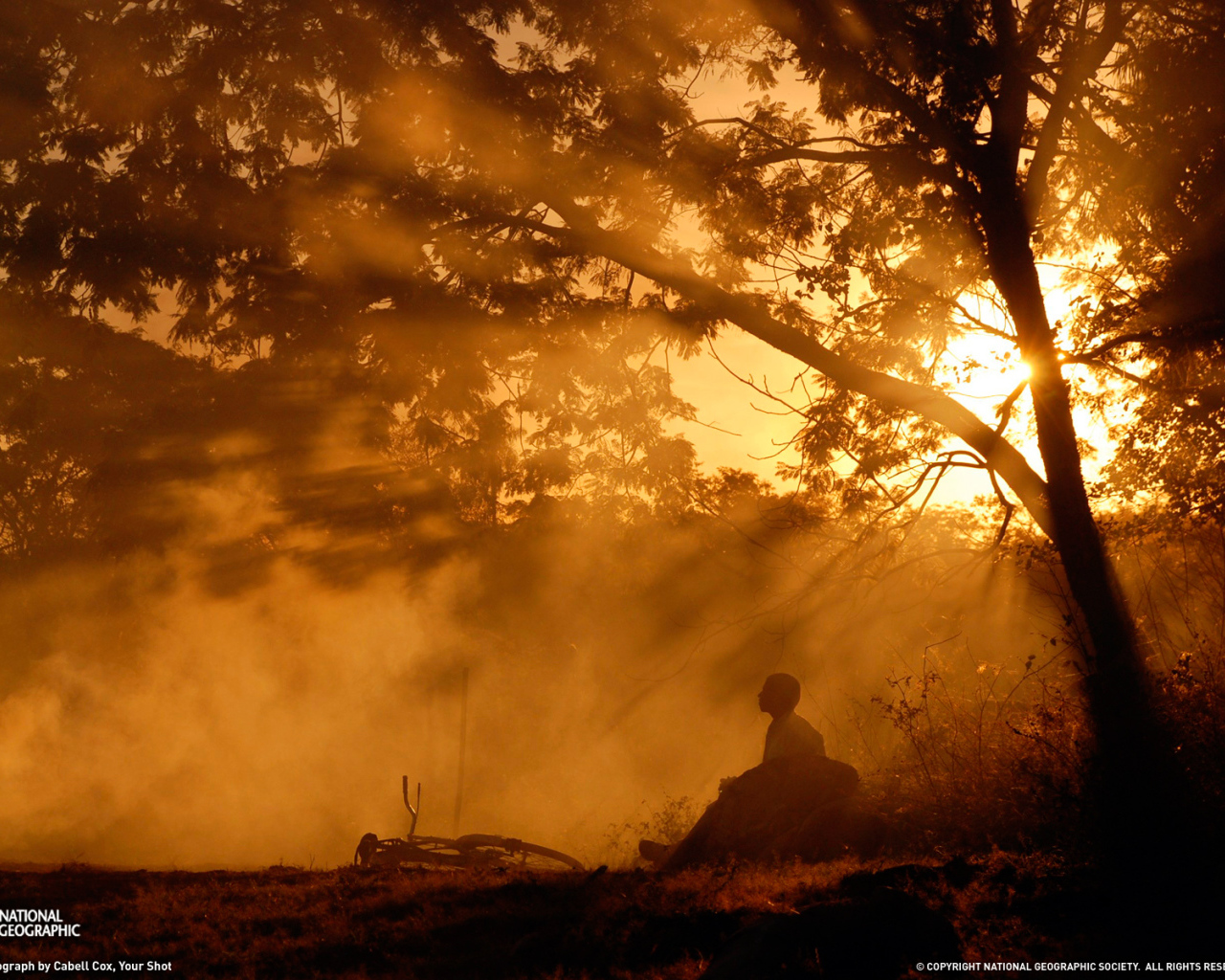 Человек с велосипедом