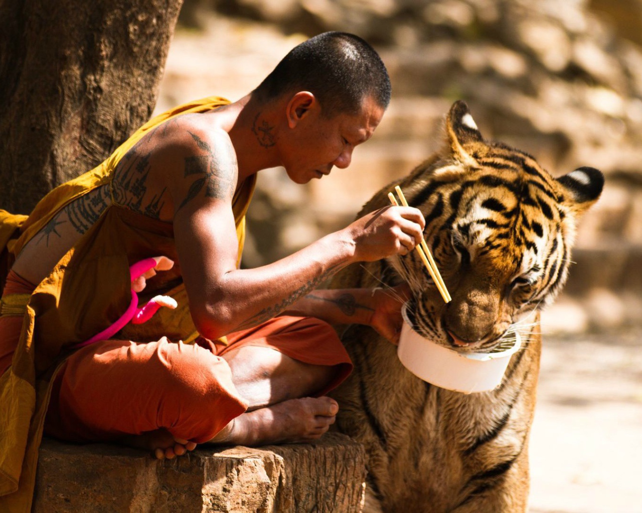 Тибетский монах и его питомец