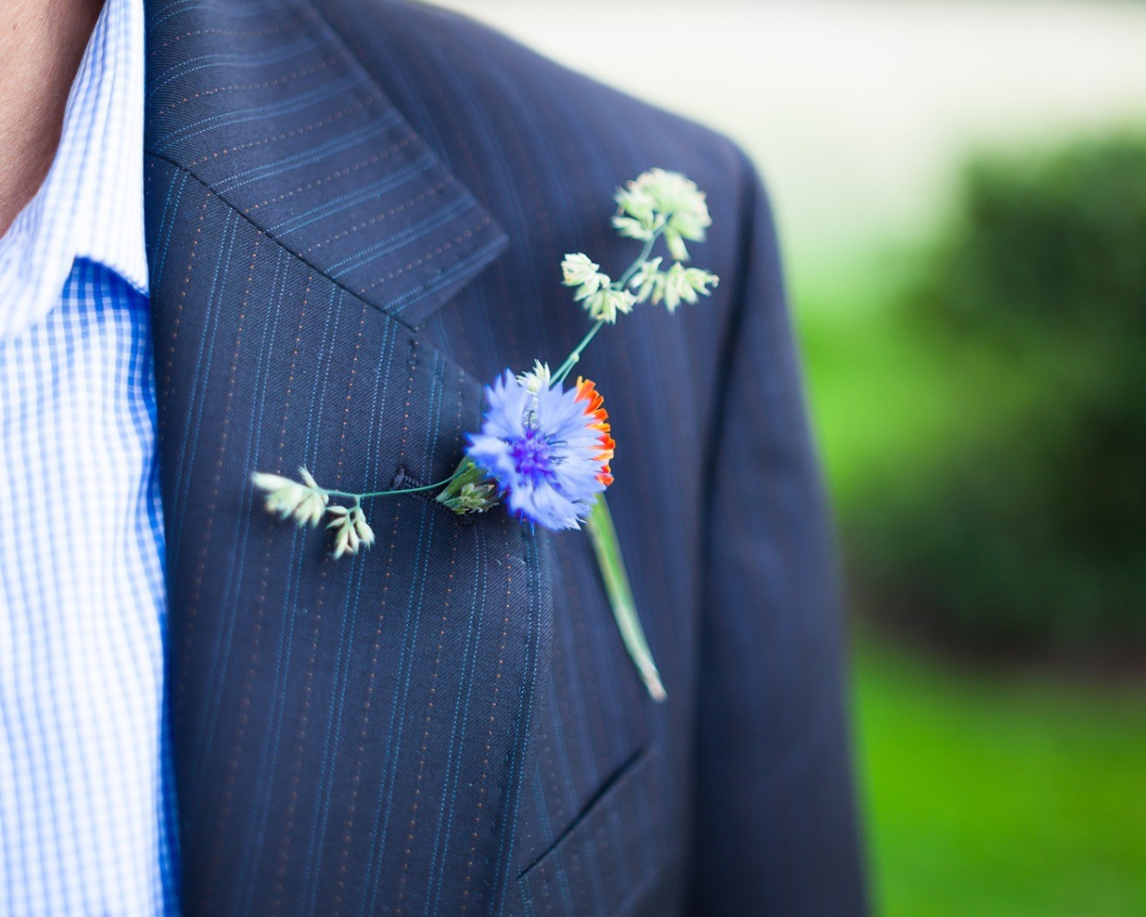 Полевой цветок в петлице пиджака
