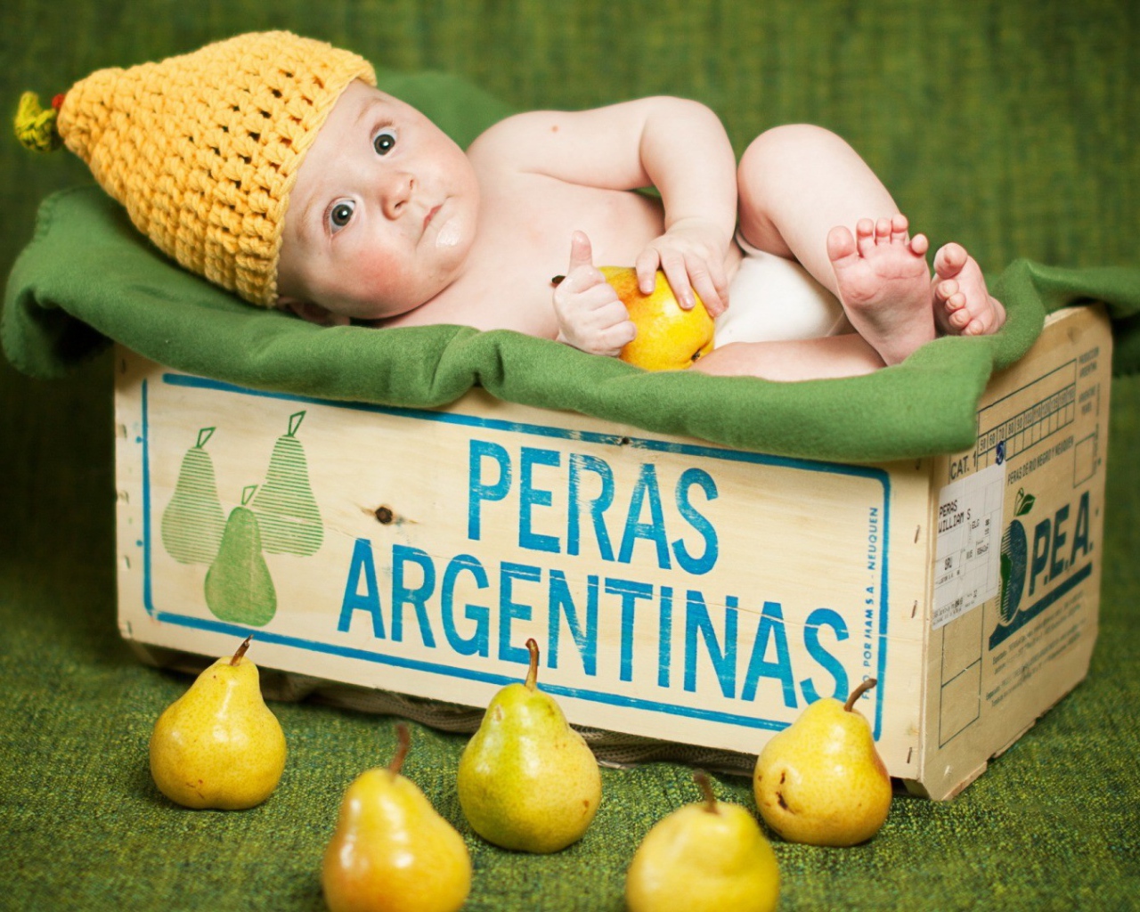 Ребенок в картонной коробке