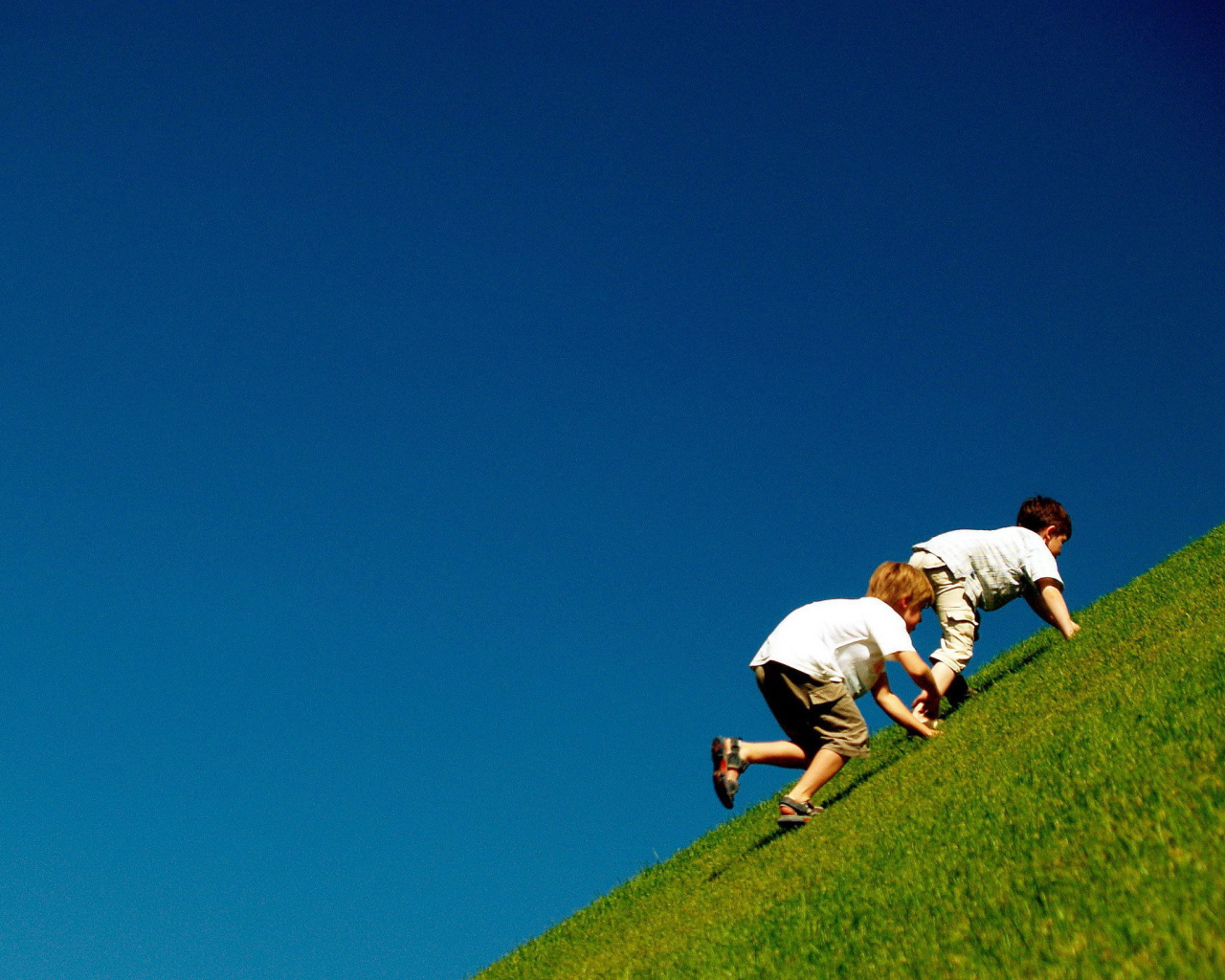 Дети играют на траве