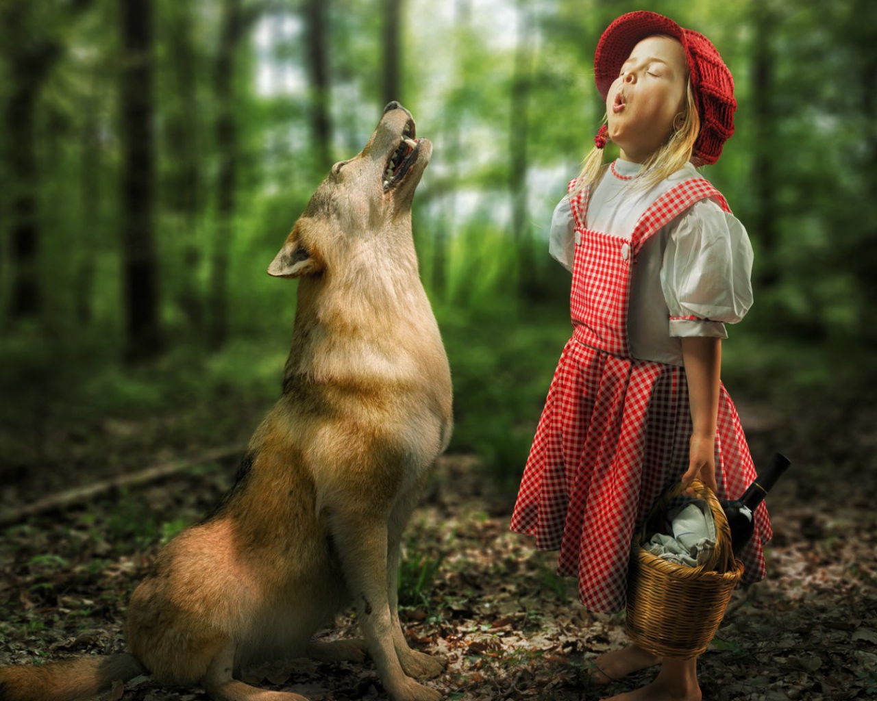 Девочка Красная шапочка и волк