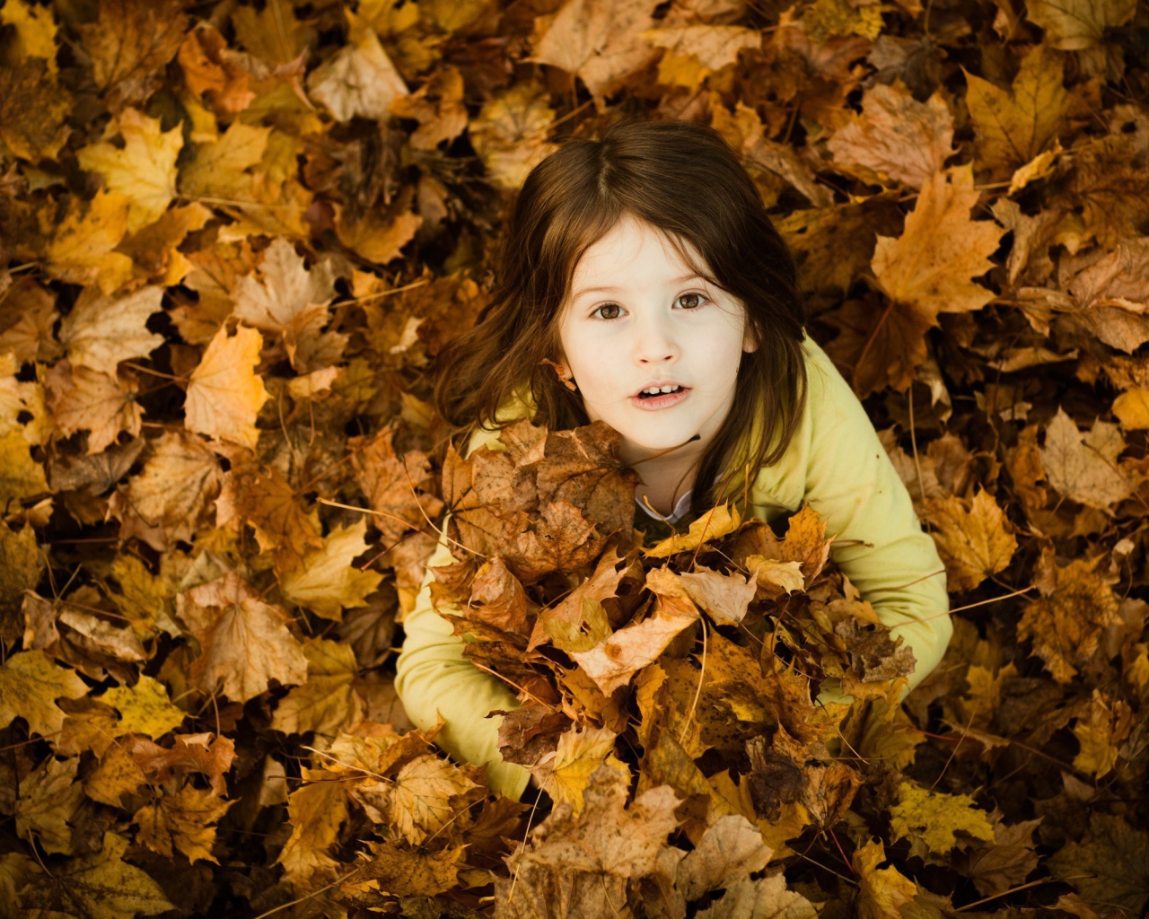 Девочка зарылась в опавшие листья