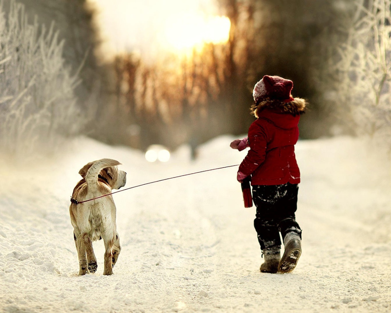 Girl leads a dog on a leash for a walk