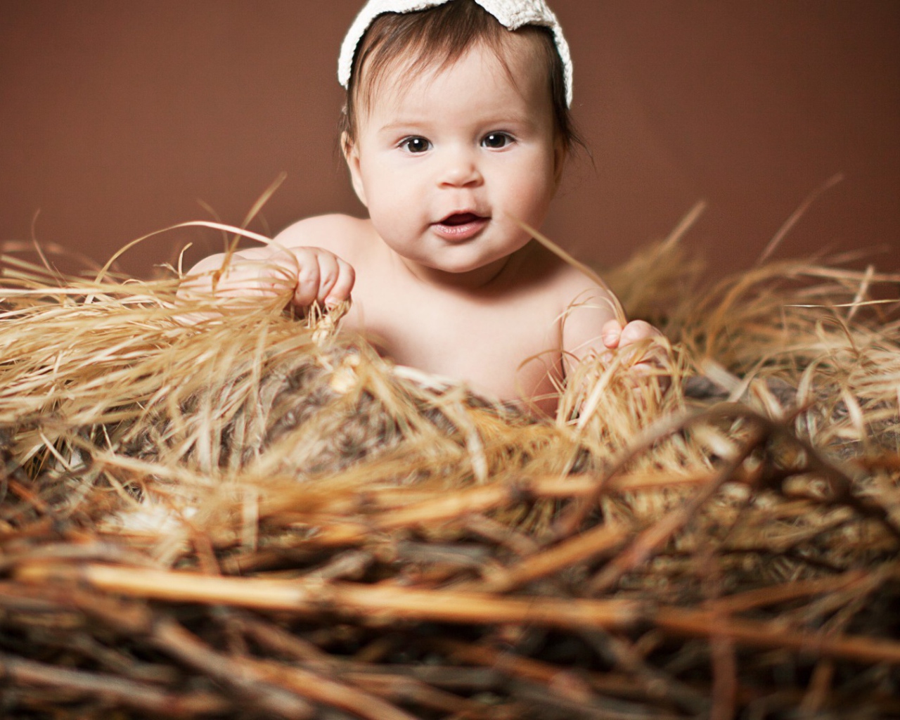 Малыш в гнезде из сена