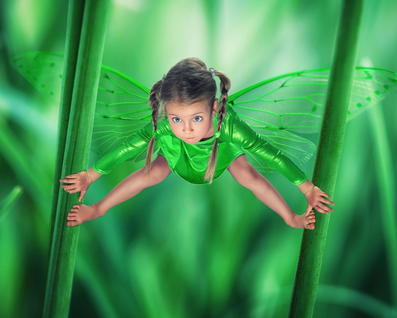 Маленькая зеленая фея