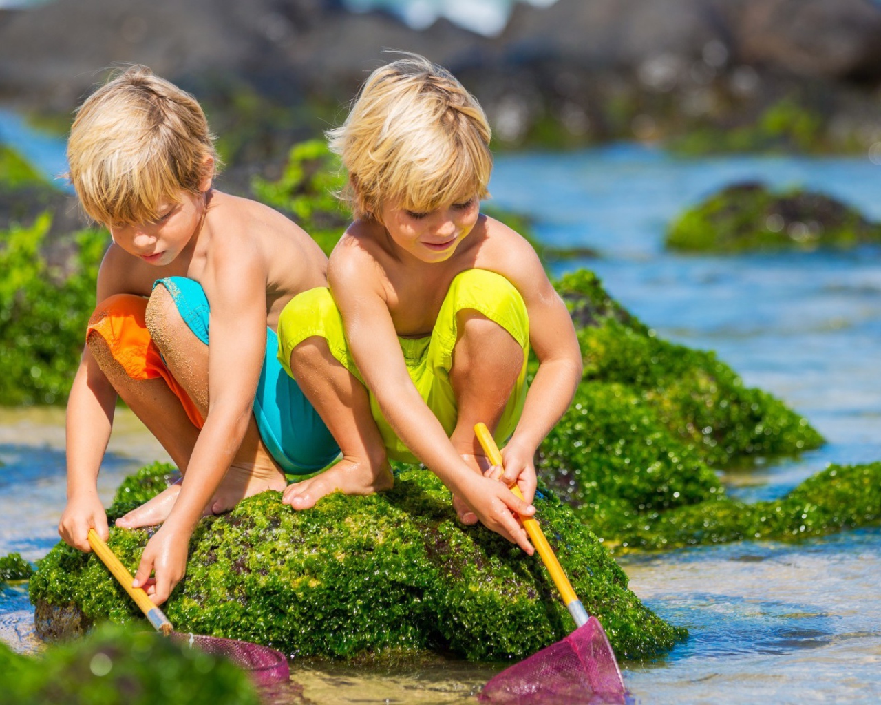 Два брата ловят рыбу сачками
