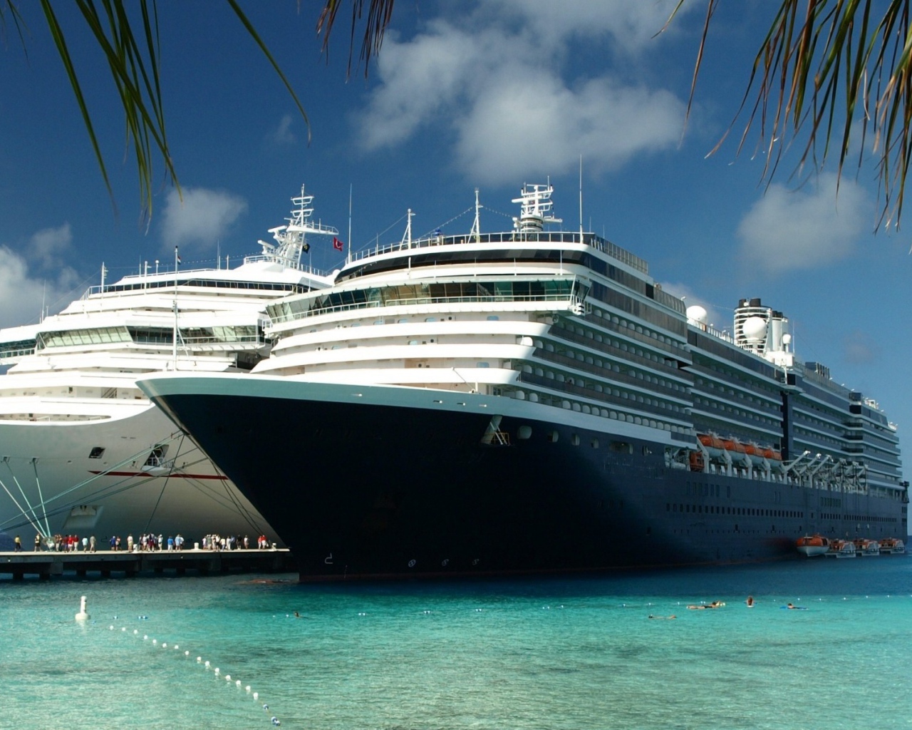 Белый и черный лайнеры в тропиках