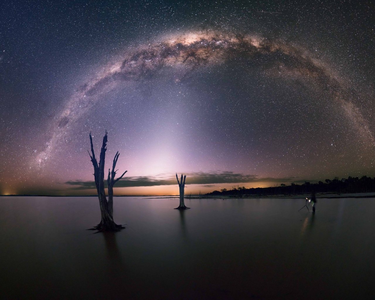 Остатки деревьев на озере под звездами
