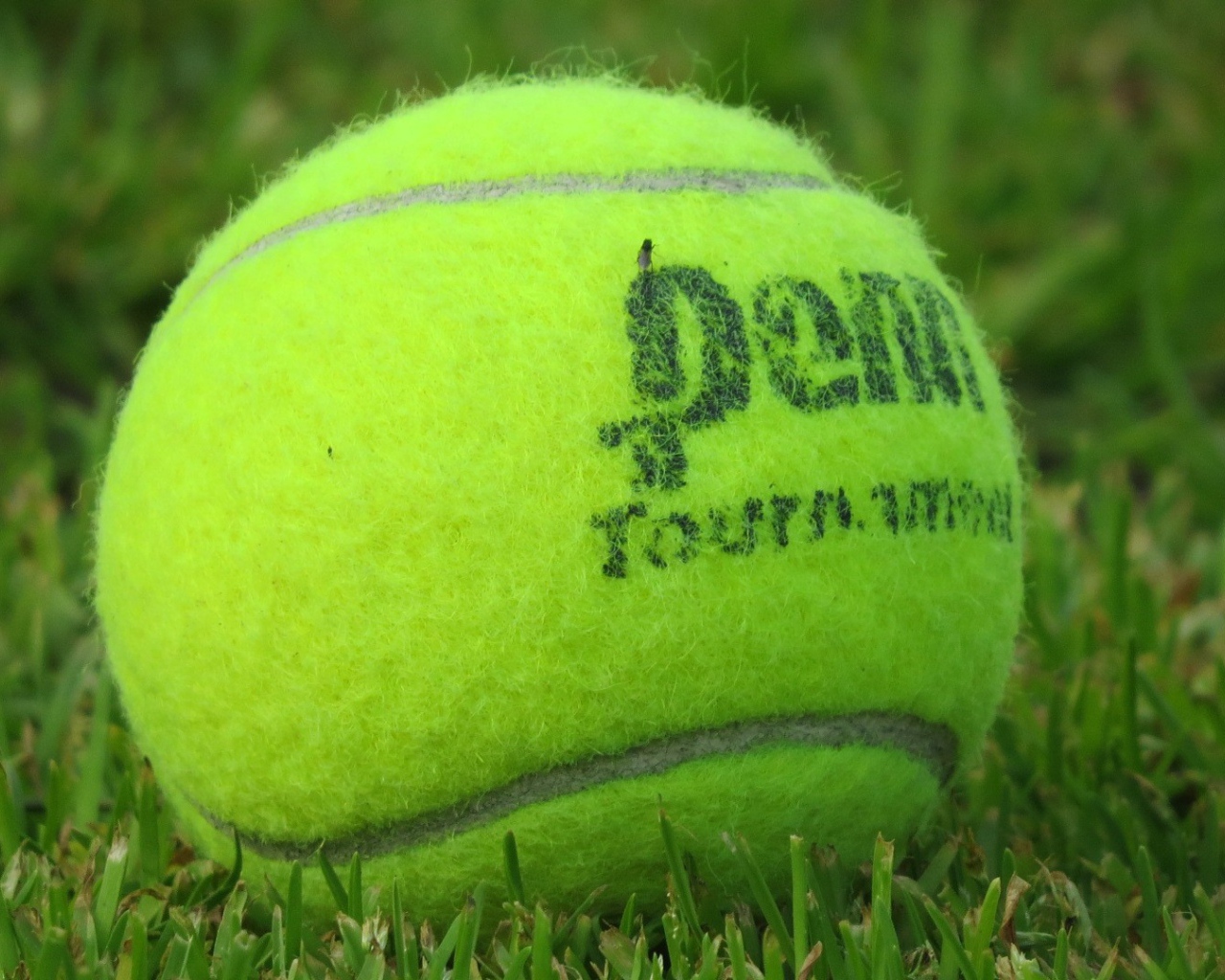 Теннисный мяч на газоне