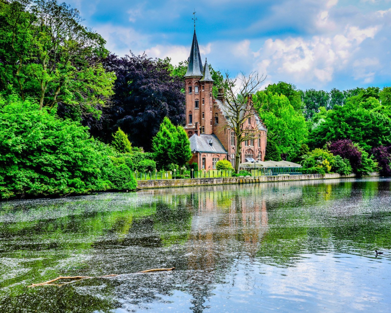 Церковь среди зеленых деревьев на берегу