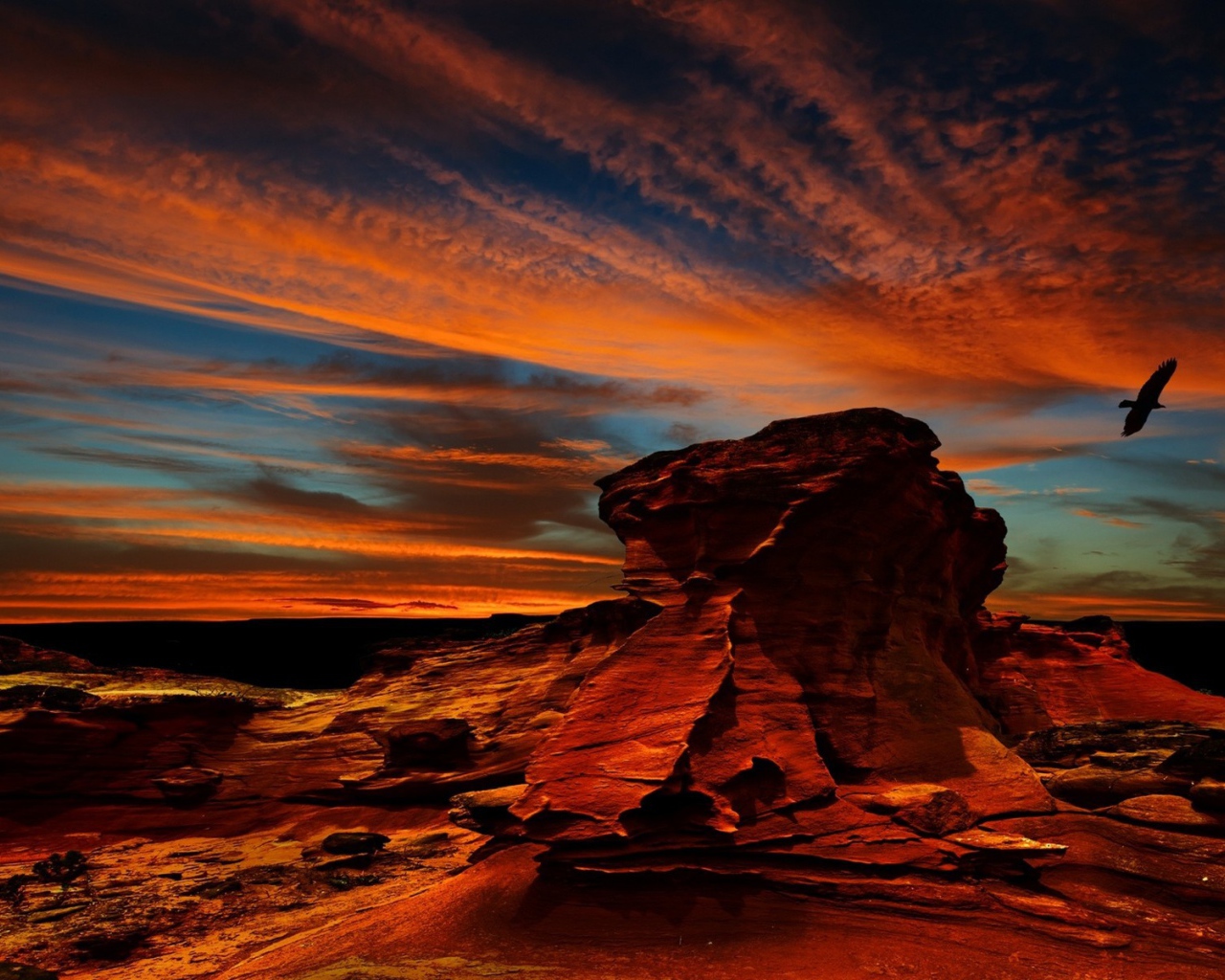 Орел над красной скалой в Чили