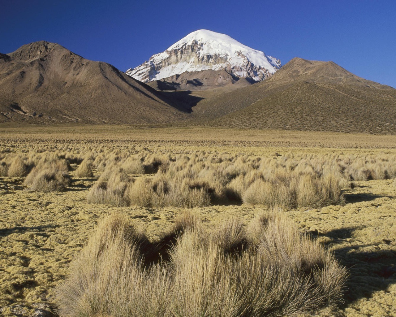 Суровый пустынный пейзаж в Боливии