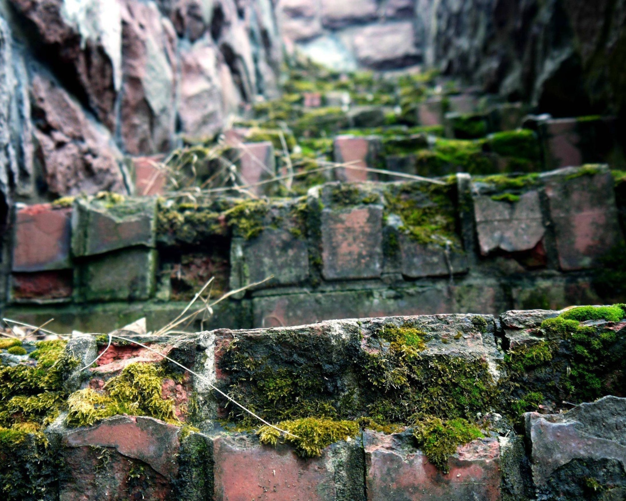 Поросшие мхом ступени