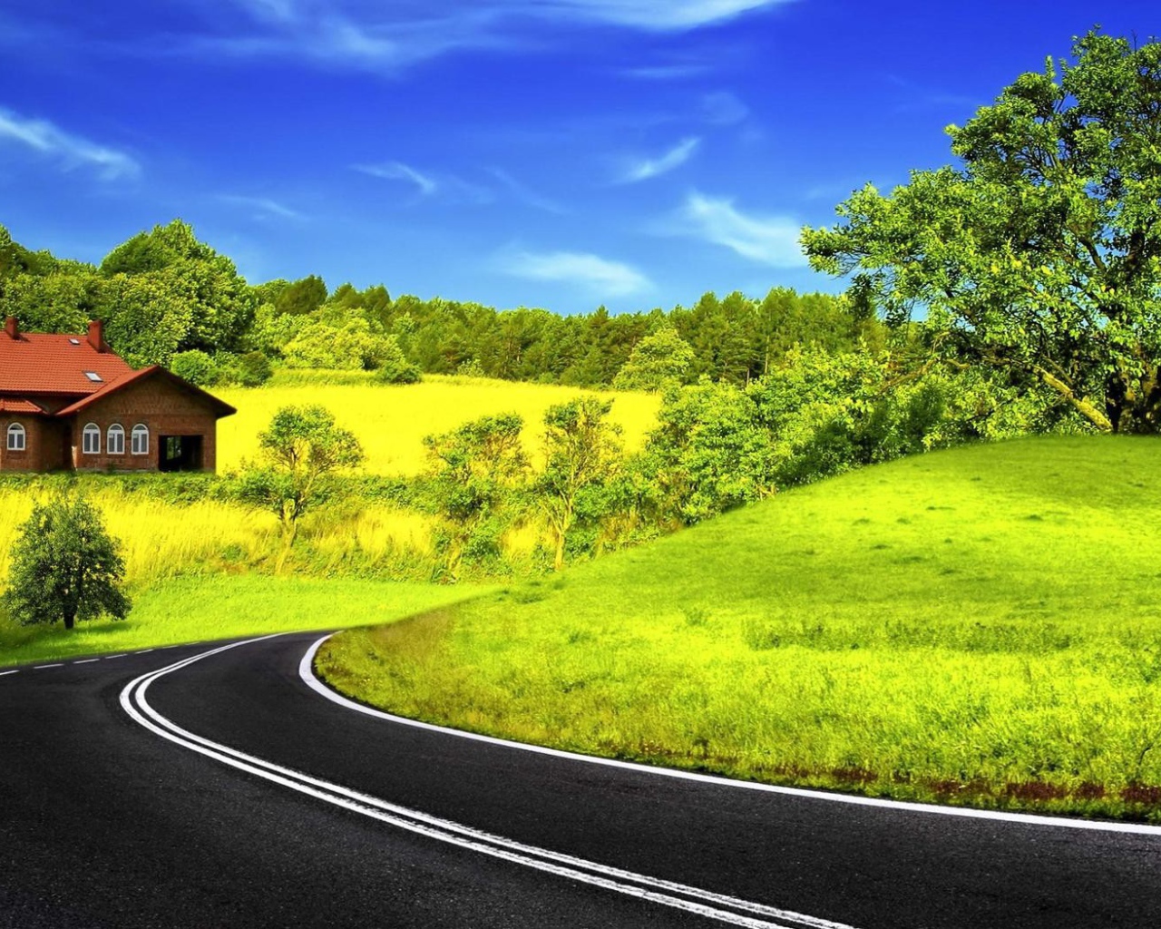 Спокойный сельский пейзаж