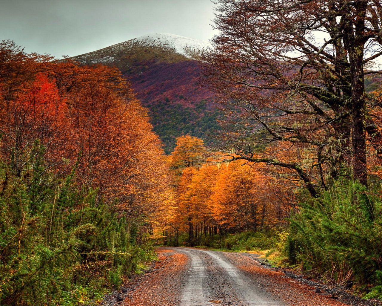 Дорога в осеннем лесу у подножия горы, Чили