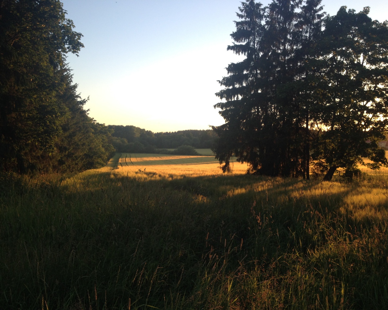 Летний пейзаж в Финляндии