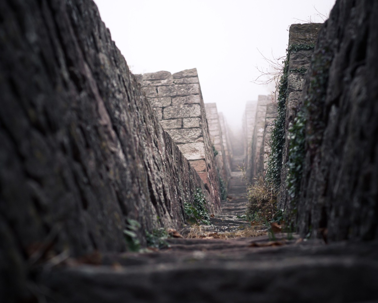 Дорога среди каменных пирамид