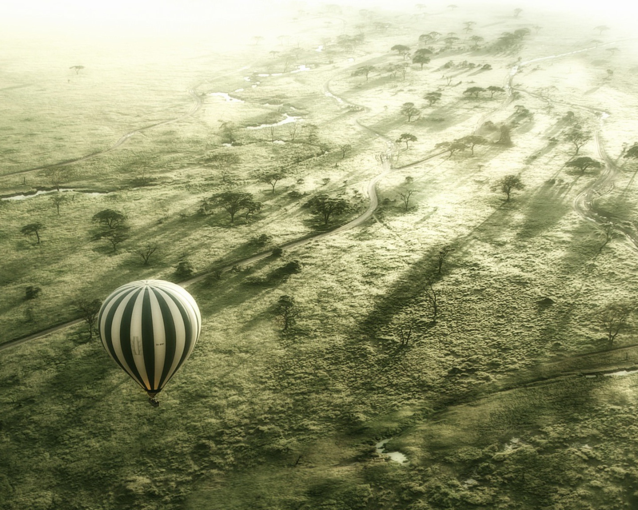 Полет на воздушном шаре, Серенгети Африка