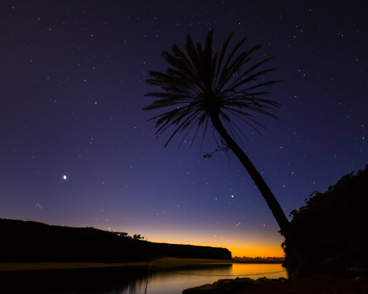 Пальма на фоне звезд в Австралии