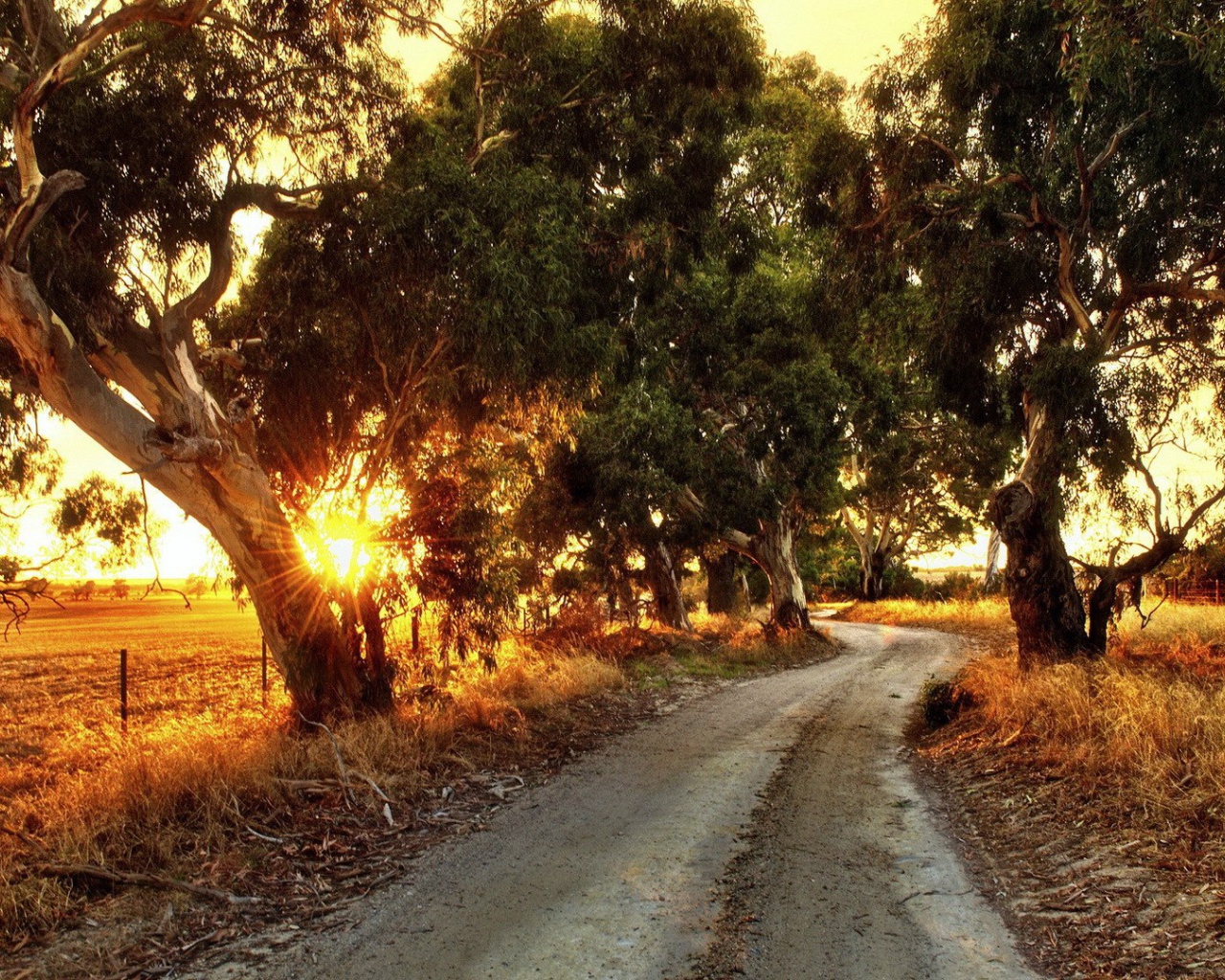Сельская дорога в Австралии