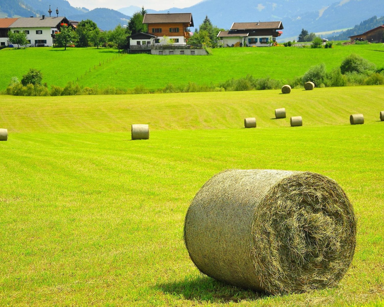 Тюки сена на поле, Австрия