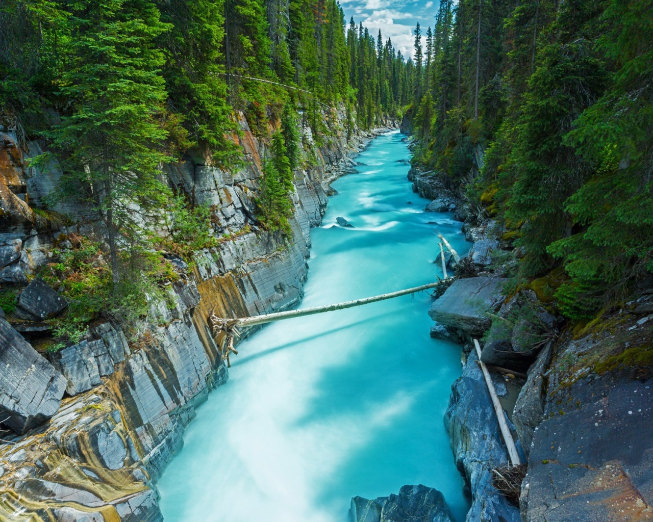 Голубая река среди леса в Канаде