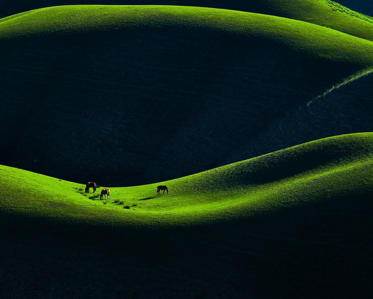 Горное пастбище в Китае