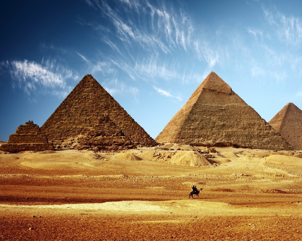 Одинокий верблюд на фоне пирамид