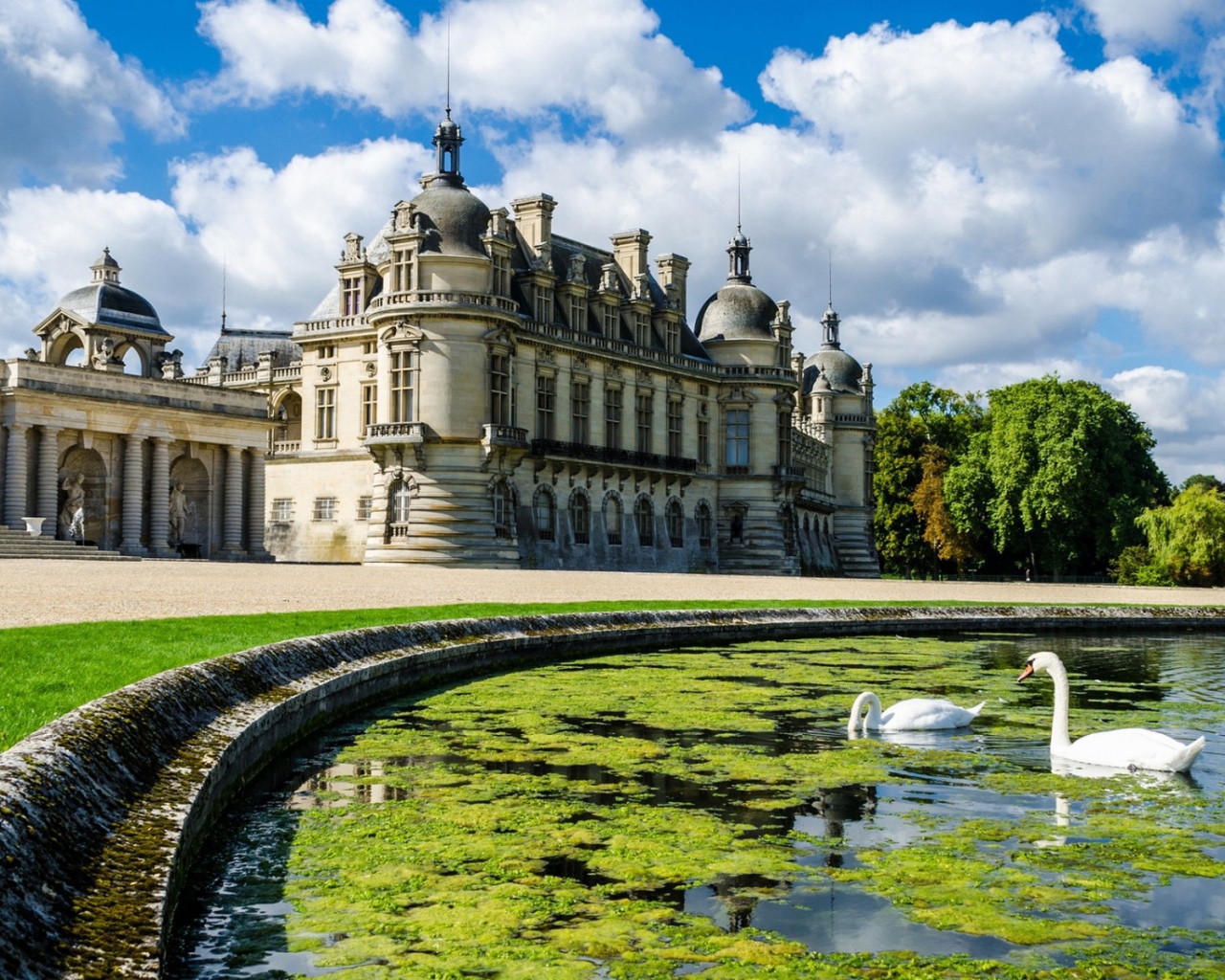 Лебеди в пруду у замка во Франции
