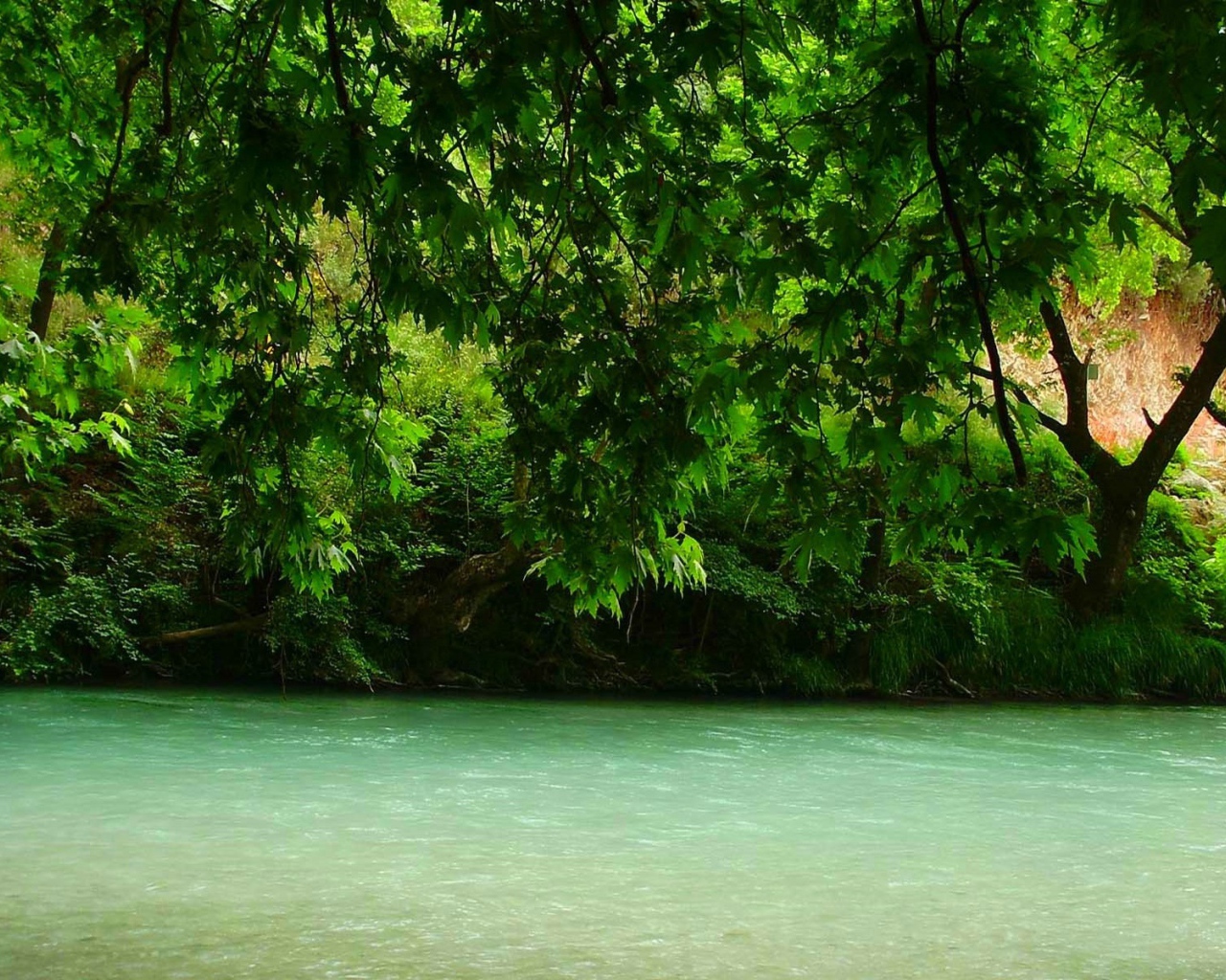 Зелень над рекой, Греция