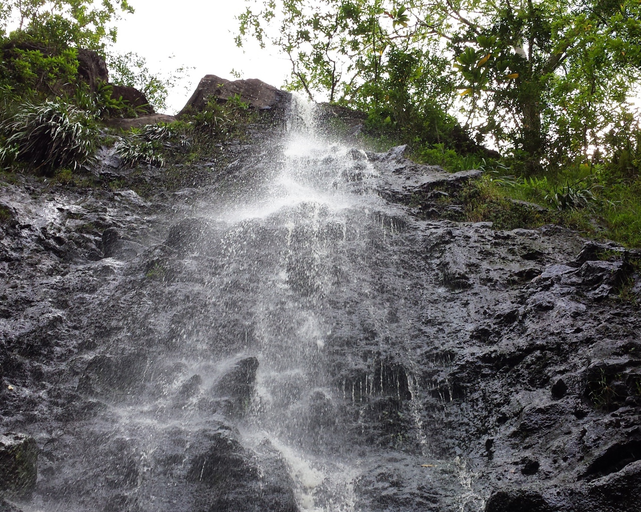 Заповедник Ka‘Au Crater на Гавайях