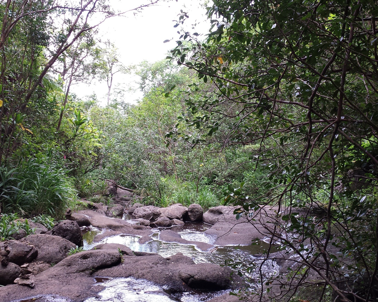 Река в Ka‘Au Crater, Гавайи