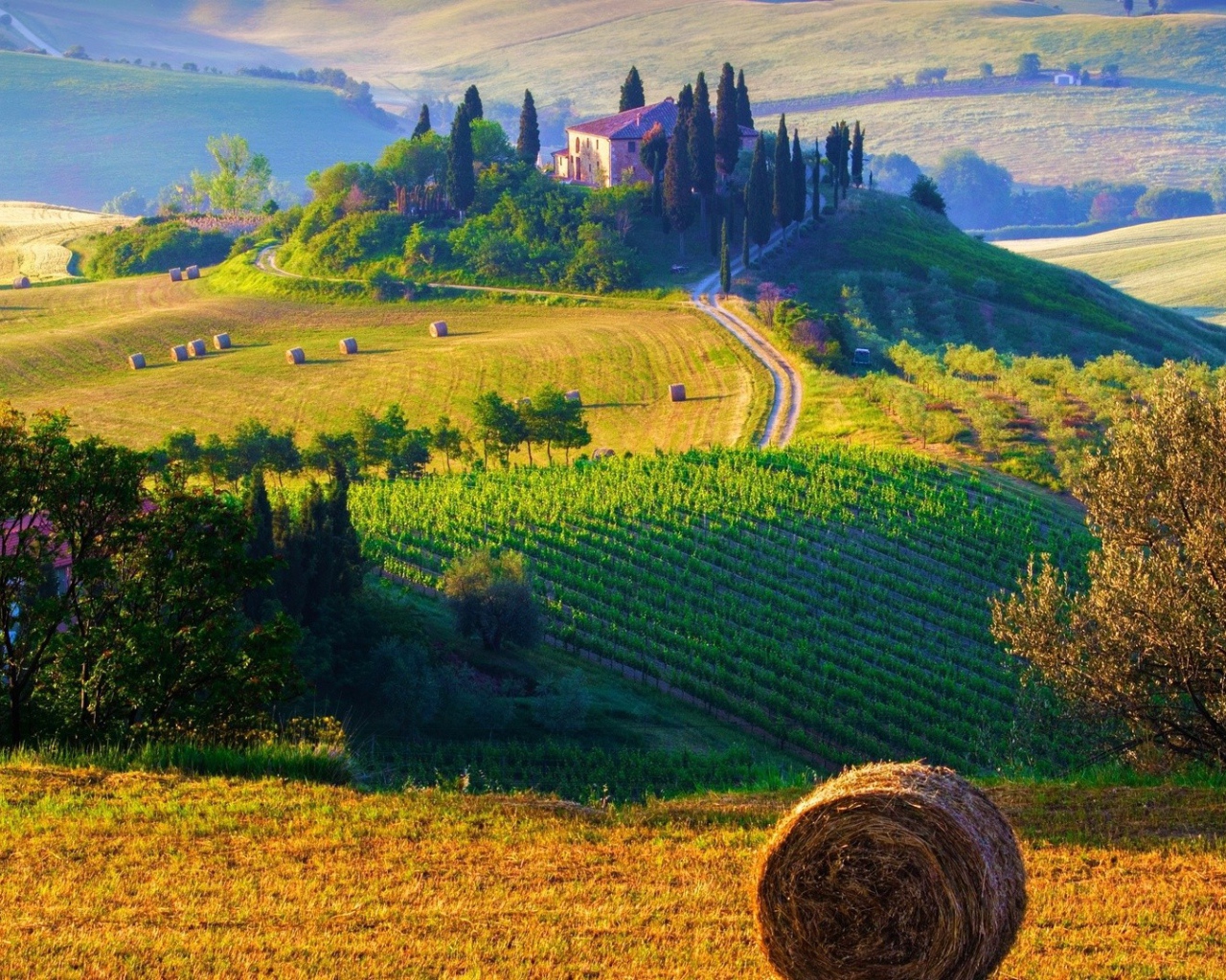 Фермерские поля в Италии