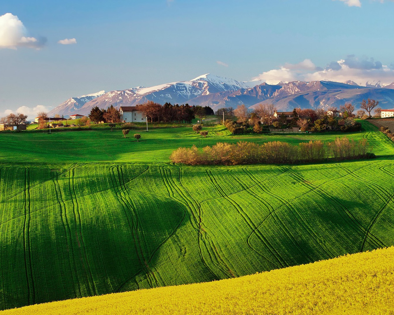 Зеленое поле в Италии