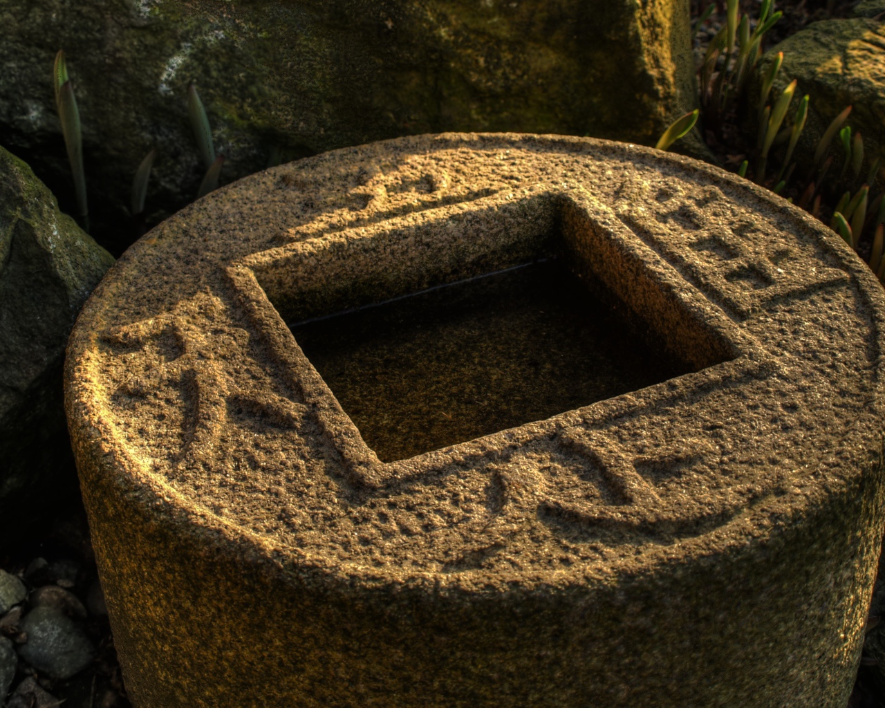 Водоем в японском саду
