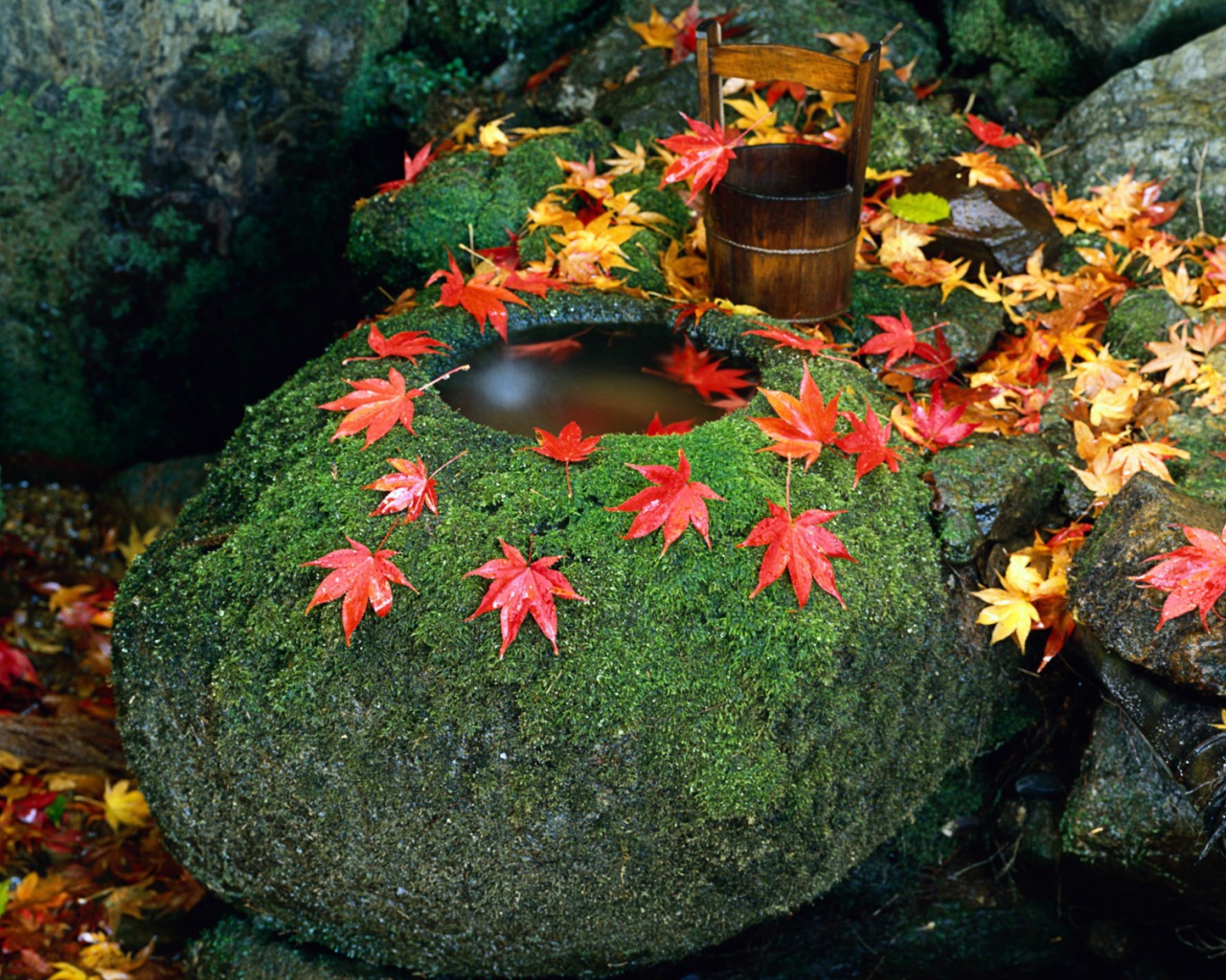 Колодец в камне, Япония