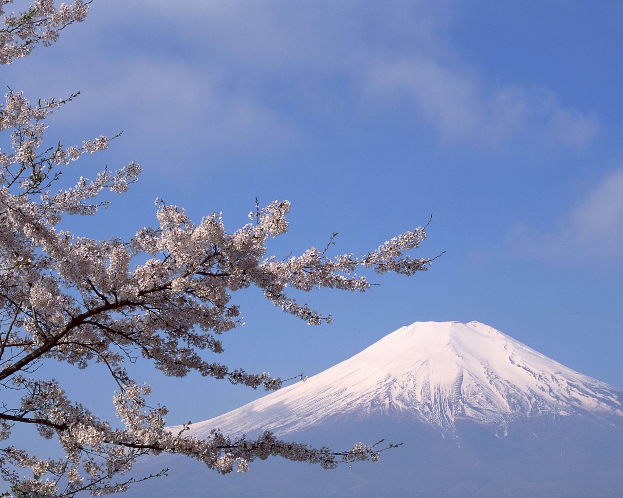 Белая вершина горы Фудзияма