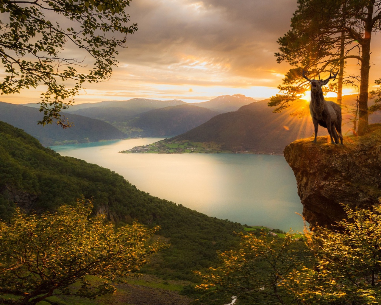 Олень на фоне заката в Норвегии
