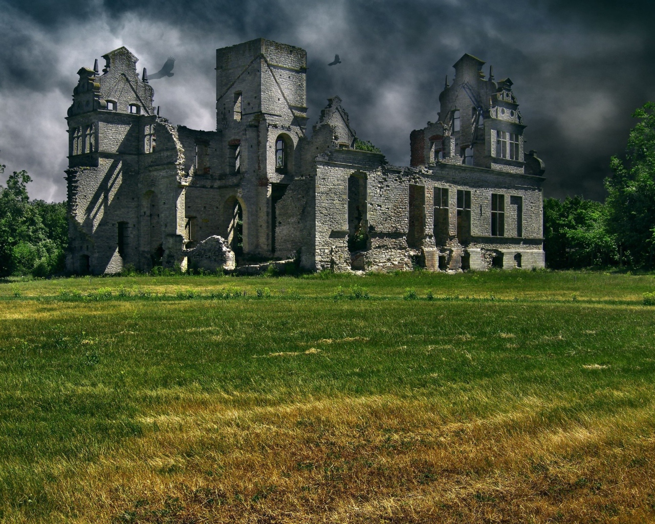 Вороны кружат над руинами замка в Шотландии